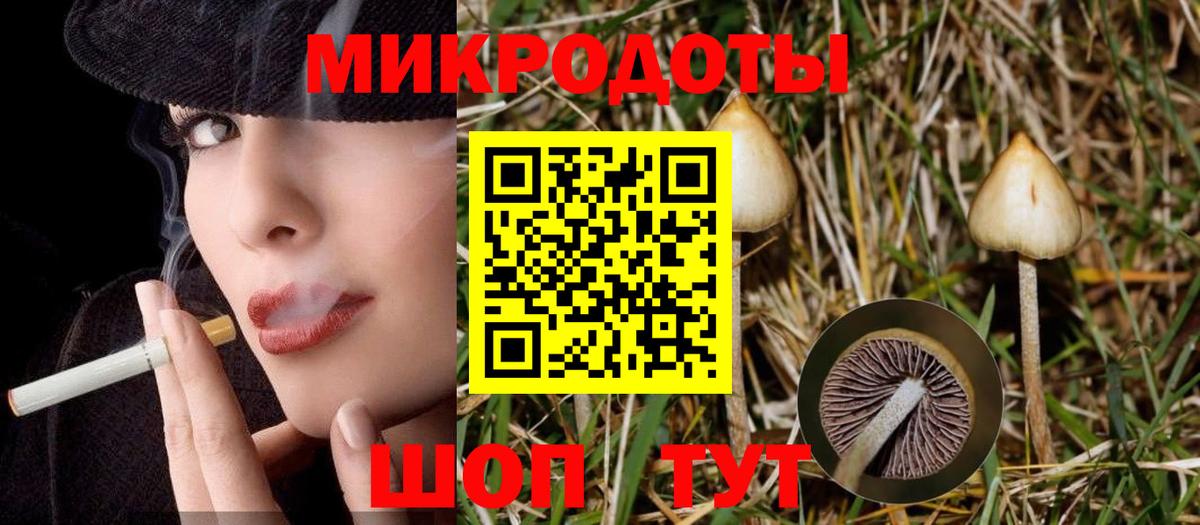 Галлюциногенные грибы прущие грибы Ачхой-Мартан