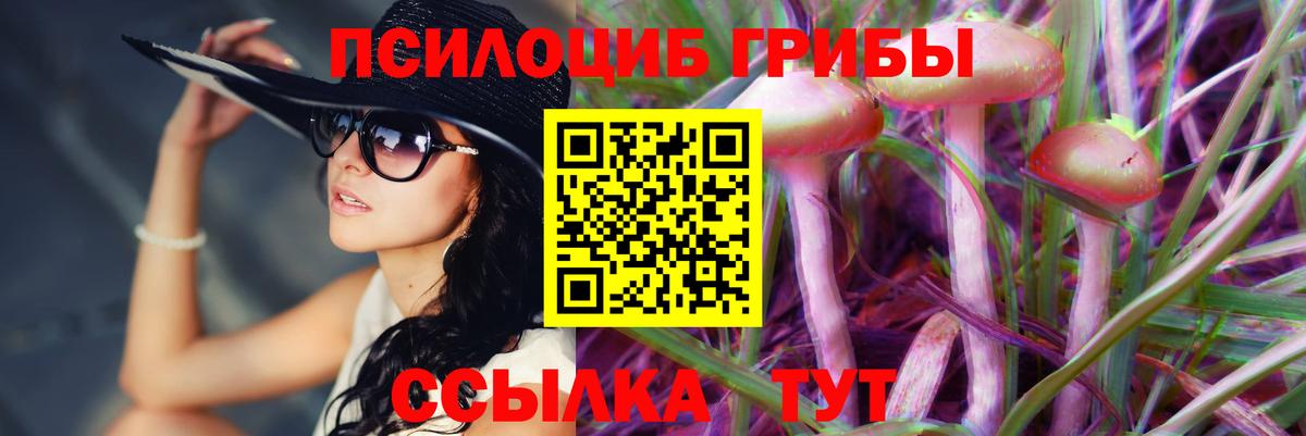 закладка  Галлюциногенные грибы Magic Shrooms  Ачхой-Мартан  Вход с VPN  Псилоцибиновые грибы MAGIC MUSHROOMS 